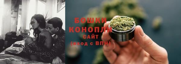 дживик Бикин