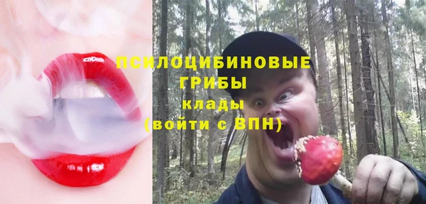 эйфоретик Алзамай