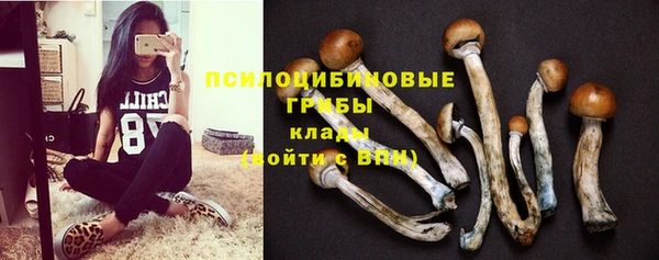 эйфоретик Алзамай